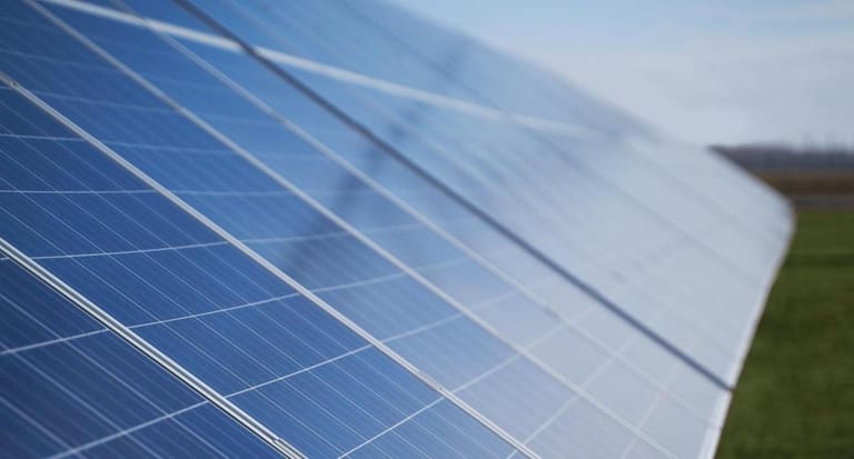 A row of solar panels showing the environmental preservation efforts around Taronga